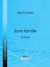 Sans famille : Tome II - eBook