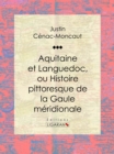Aquitaine et Languedoc, ou Histoire pittoresque de la Gaule meridionale - eBook
