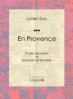 En Provence : Etudes de moeurs et Souvenirs de jeunesse - eBook