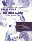 Brain atlas of the medakafish - eBook