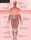 The Visual Dictionary of The Human Being : The Human Being - eBook