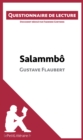 Salammbo de Gustave Flaubert : Questionnaire de lecture - eBook