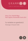 La variation en question(s) : Hommages a Francoise Gadet - eBook
