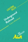 Underground Railroad von Colson Whitehead (Lekturehilfe) : Detaillierte Zusammenfassung, Personenanalyse und Interpretation - eBook
