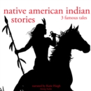 3 American Indian Stories - eAudiobook