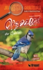 Oiseaux du Quebec : Guide d'identification - eBook