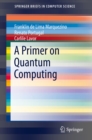 A Primer on Quantum Computing - eBook