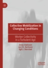 Collective Mobilization in Changing Conditions : Worker Collectivity in a Turbulent Age - eBook