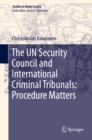 The UN Security Council and International Criminal Tribunals: Procedure Matters - eBook