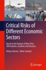 Critical  Risks of Different Economic Sectors : Based on the Analysis of More Than 500 Incidents, Accidents and Disasters - eBook