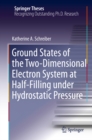 Ground States of the Two-Dimensional Electron System at Half-Filling under Hydrostatic Pressure - eBook