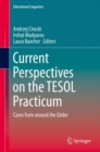 Current Perspectives on the TESOL Practicum : Cases from around the Globe - eBook