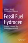 Fossil Fuel Hydrogen : Technical, Economic and Environmental Potential - eBook