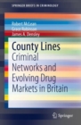 County Lines : Criminal Networks and Evolving Drug Markets in Britain - eBook