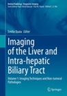 Imaging of the Liver and Intra-hepatic Biliary Tract : Volume 1: Imaging Techniques and Non-tumoral Pathologies - eBook