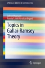 Topics in Gallai-Ramsey Theory - eBook