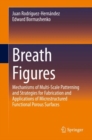 Breath Figures : Mechanisms of Multi-scale Patterning and Strategies for Fabrication and Applications of Microstructured Functional Porous Surfaces - eBook