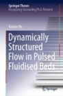 Dynamically Structured Flow in Pulsed Fluidised Beds - eBook