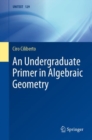 An Undergraduate Primer in Algebraic Geometry - eBook