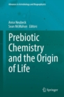 Prebiotic Chemistry and the Origin of Life - eBook