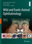 Wild and Exotic Animal Ophthalmology : Volume 2: Mammals - eBook