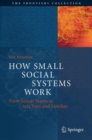 How Small Social Systems Work : From Soccer Teams to Jazz Trios and Families - eBook
