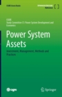 Power System Assets : Investment, Management, Methods and Practices - eBook