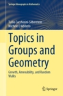Topics in Groups and Geometry : Growth, Amenability, and Random Walks - eBook