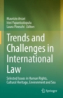 Trends and Challenges in International Law : Selected Issues in Human Rights, Cultural Heritage, Environment and Sea - eBook