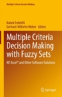 Multiple Criteria Decision Making with Fuzzy Sets : MS Excel(R) and Other Software Solutions - eBook