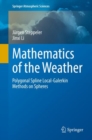 Mathematics of the Weather : Polygonal Spline Local-Galerkin Methods on Spheres - eBook