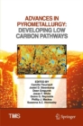 Advances in Pyrometallurgy : Developing Low Carbon Pathways - eBook