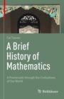 A Brief History of Mathematics : A Promenade through the Civilizations of Our World - eBook
