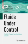Fluids Under Control : The 2021 Prague-Sum Workshop Lectures - eBook