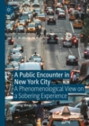 A Public Encounter in New York City : A Phenomenological View on a Sobering Experience - eBook