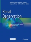 Renal Denervation : Treatment and Device-Based Neuromodulation - eBook