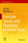 Function Spaces and Operators between them - eBook