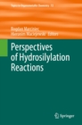 Perspectives of Hydrosilylation Reactions - eBook