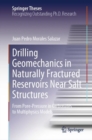 Drilling Geomechanics in Naturally Fractured Reservoirs Near Salt Structures : From Pore-Pressure in Carbonates to Multiphysics Models - eBook