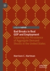 Bad Breaks in Real GDP and Employment : Exploring the Persistence of Aggregate Demand Shocks in the United States - eBook