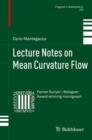Lecture Notes on Mean Curvature Flow - eBook