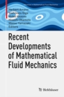 Recent Developments of Mathematical Fluid Mechanics - eBook
