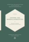 Gesteine Und Minerallagerstatten : Exogene Gesteine und Minerallagerstatten - eBook