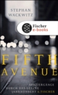 Fifth Avenue : Spaziergange durch das letzte Jahrhundert - eBook