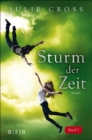 Sturm der Zeit - eBook