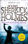 Young Sherlock Holmes : Der Tod ruft seine Geister - Der junge Sherlock Holmes ermittelt in Irland - eBook