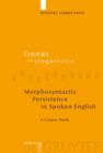 Morphosyntactic Persistence in Spoken English : A Corpus Study at the Intersection of Variationist Sociolinguistics, Psycholinguistics, and Discourse Analysis - eBook