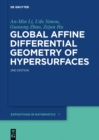 Global Affine Differential Geometry of Hypersurfaces - eBook