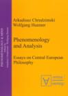 Phenomenology & Analysis : Essays in Central European Philosophy - eBook