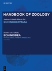 Echinoidea : with bilateral symmetry. Irregularia - eBook